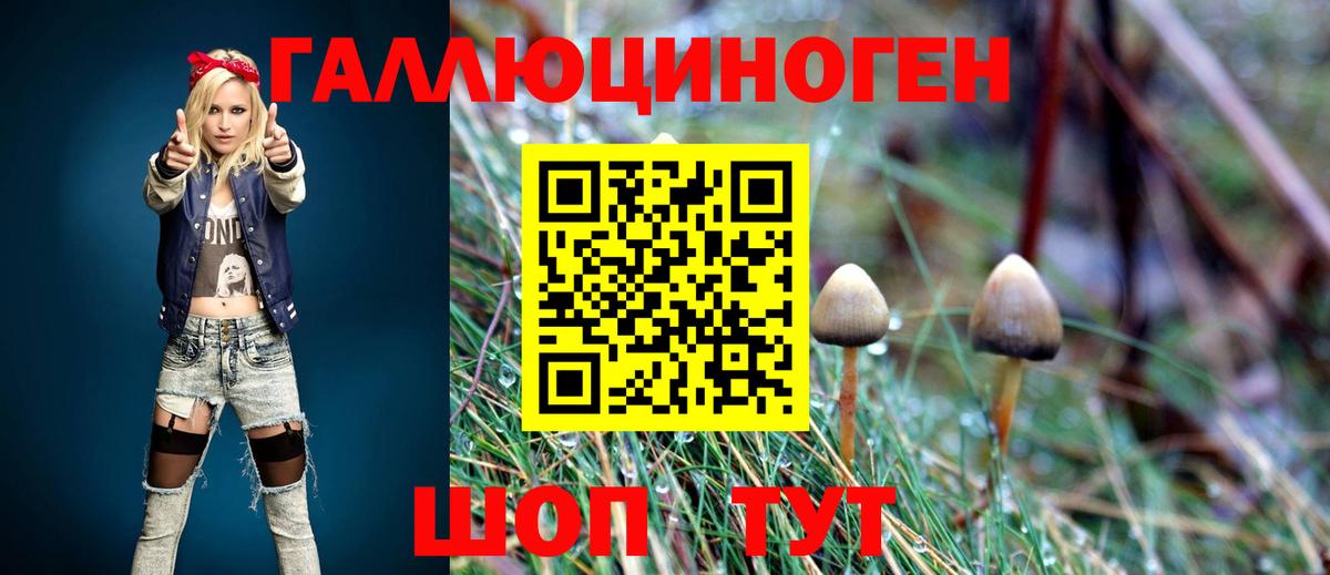 Гурьевск  Галлюциногенные грибы Magic Shrooms  Вход с VPN 