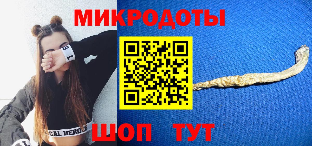Псилоцибиновые грибы Psilocybe Гурьевск