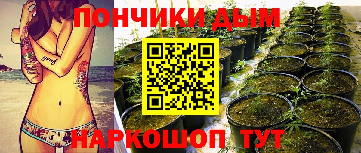 Каннабис тримм  МАРИХУАНА White Widow  МАРИХУАНА MAZAR  Гурьевск  МАРИХУАНА тримм  Вход с VPN 